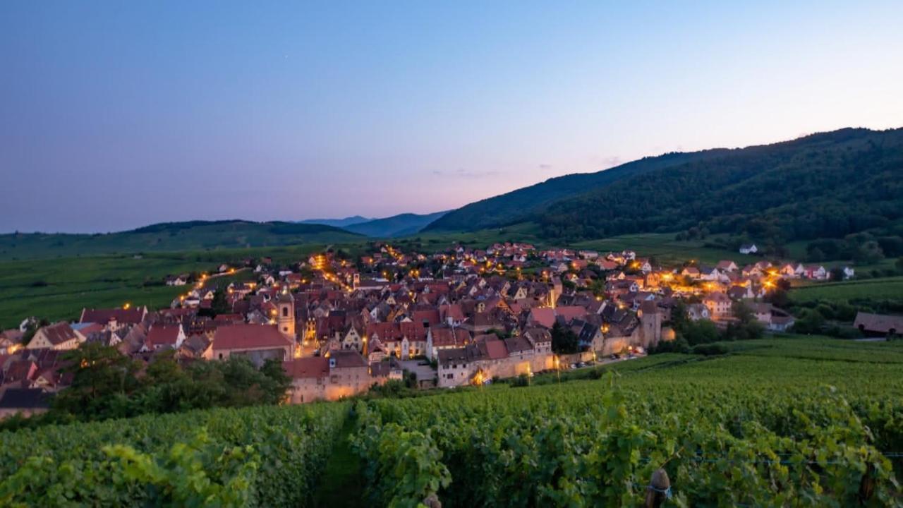 Chez Chris & Ju Lägenhet Biesheim Exteriör bild